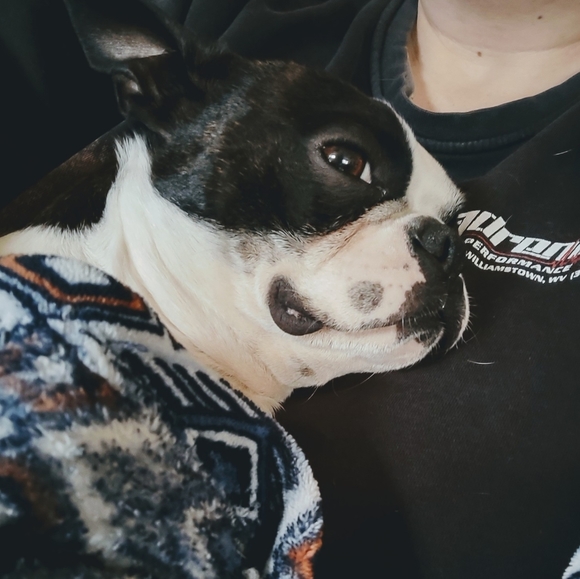 Prince Rogan Harris - Picture 6 of 7